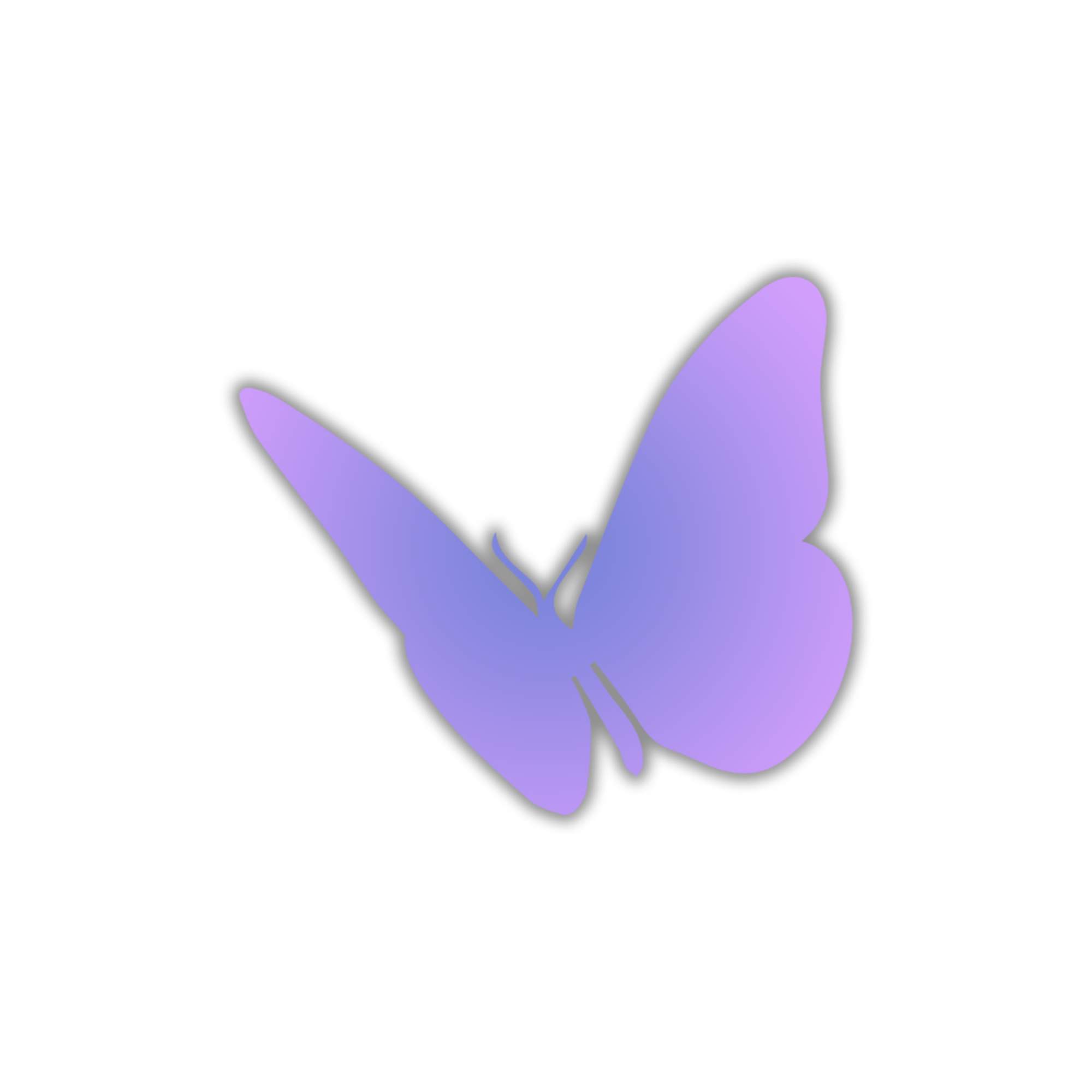 butterflyy